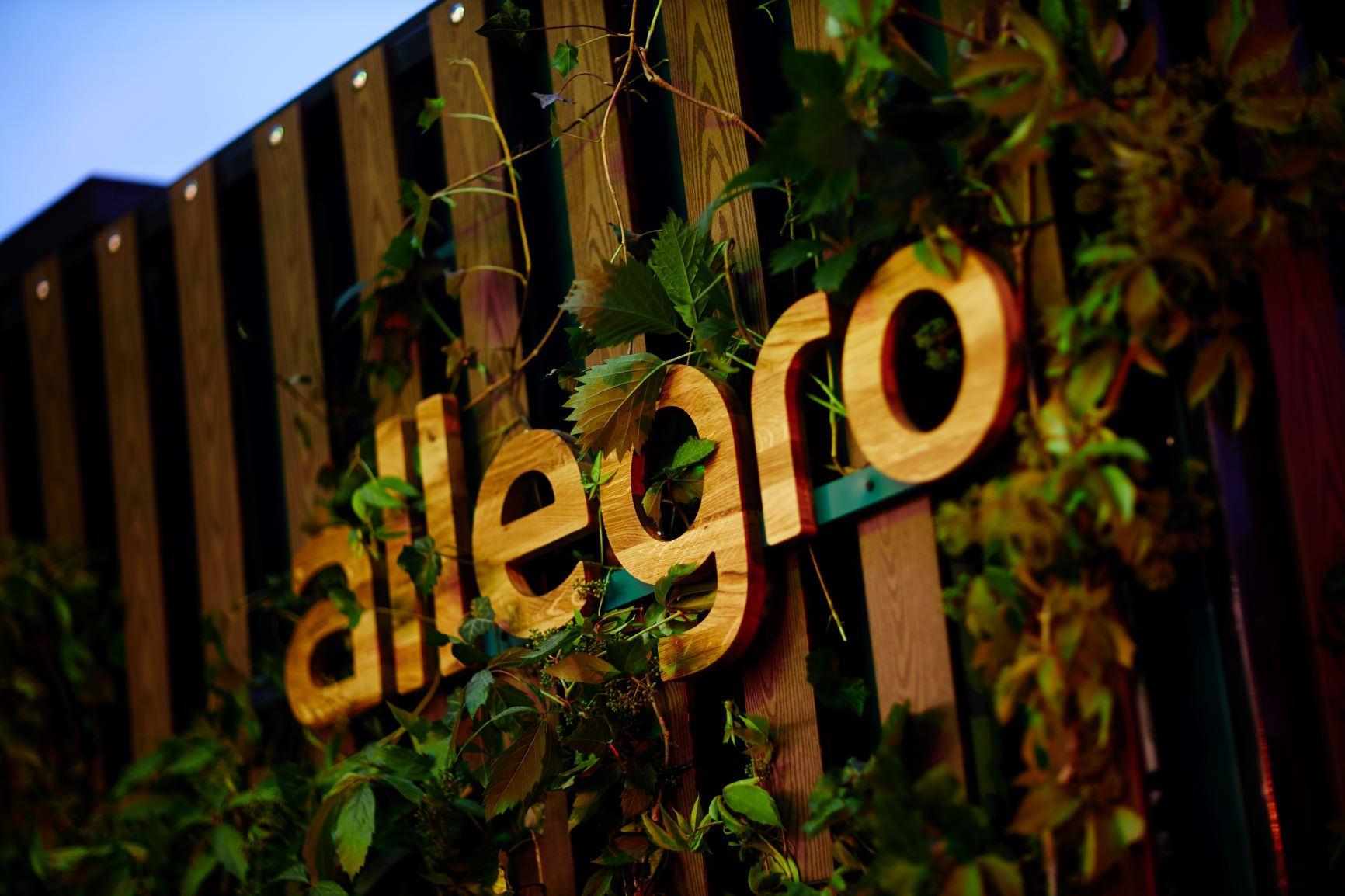 Allegro powołuje dwóch nowych członków zarządu, aby wesprzeć plany ekspansji międzynarodowej